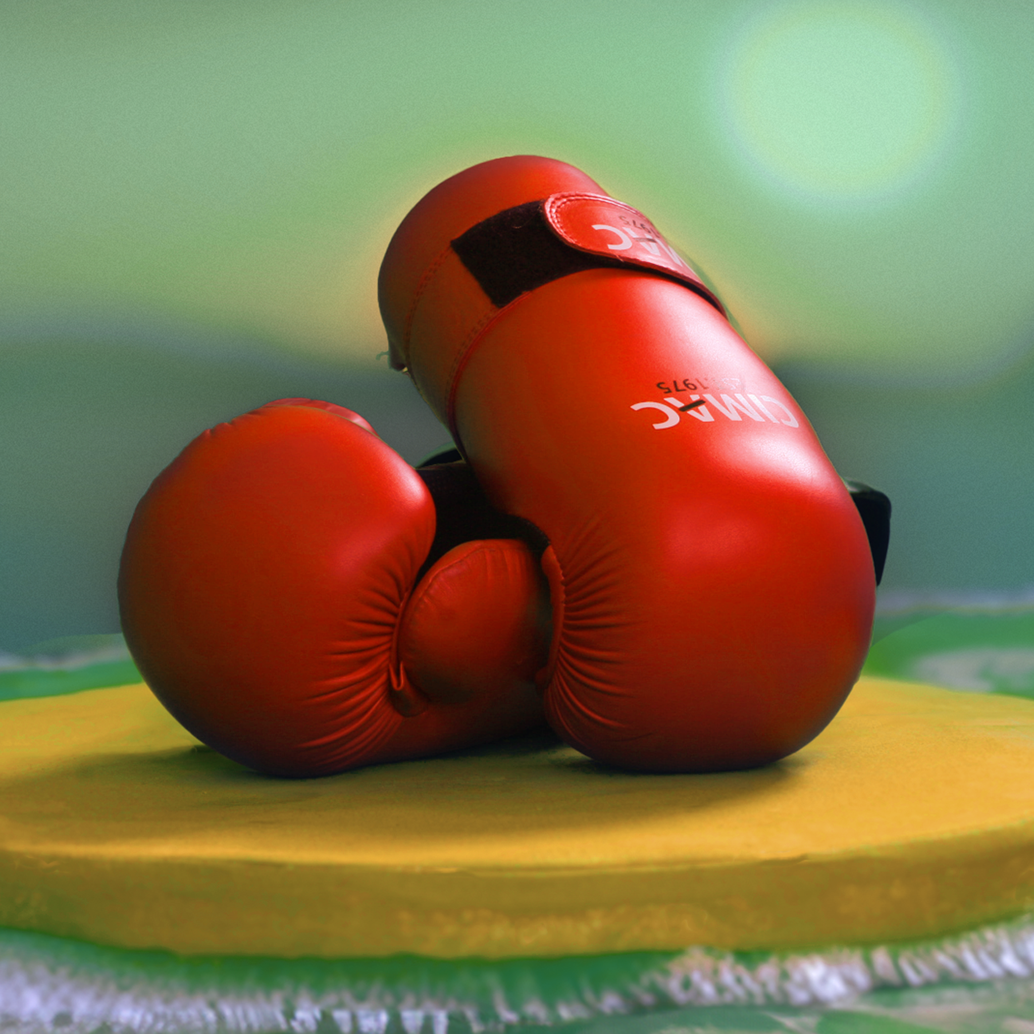 martial arts hand pads close up product image